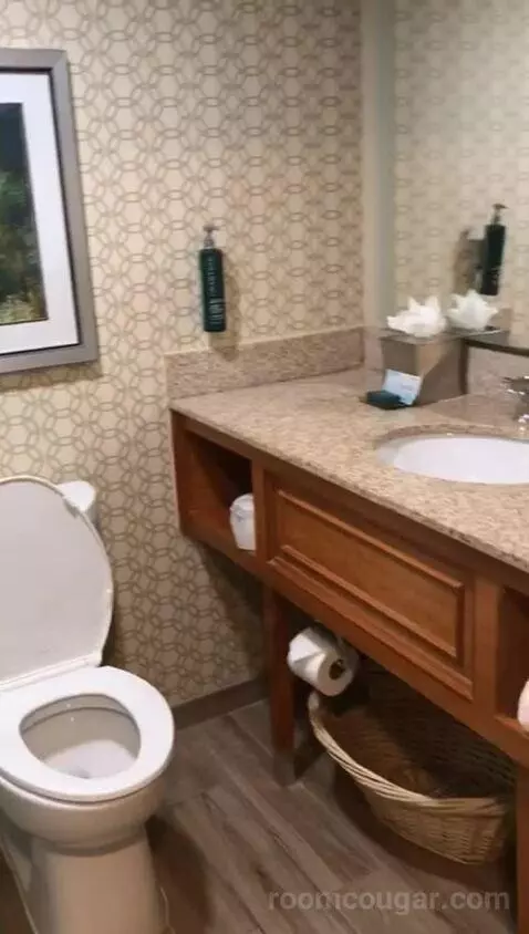 2 Queen Beds (#113) bathroom picture #8