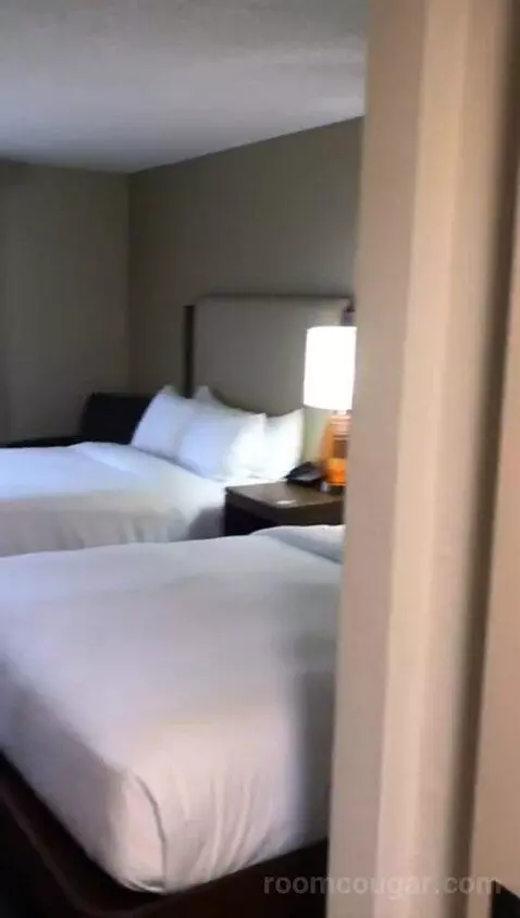 2 Queen Beds (#113) bed picture #2