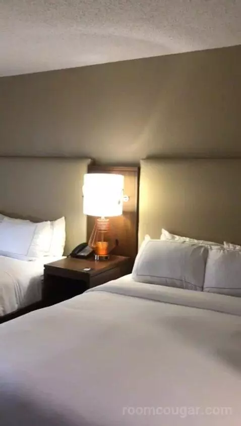 2 Queen Beds (#113) bed picture #4