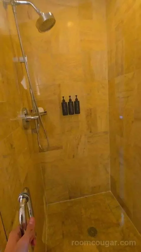 Panoramic View One Bedroom Suite (#1801) bathroom picture #9