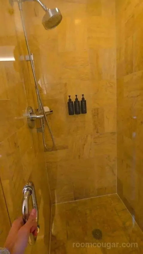 Panoramic View One Bedroom Suite (#1801) bathroom picture #11