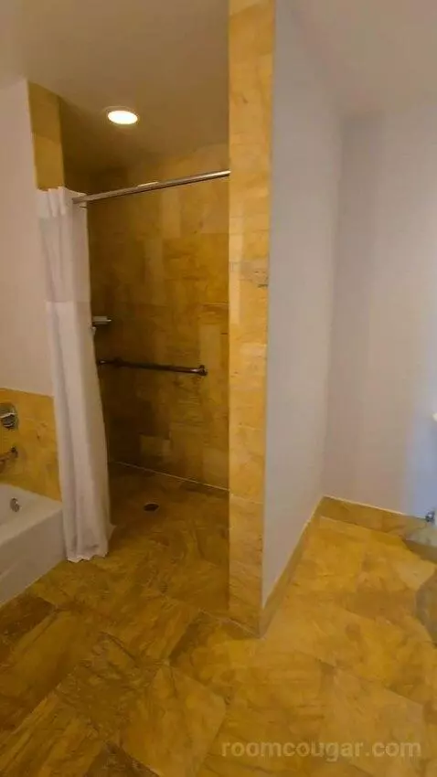 Bay View King, Accessible (#1812) picture #14