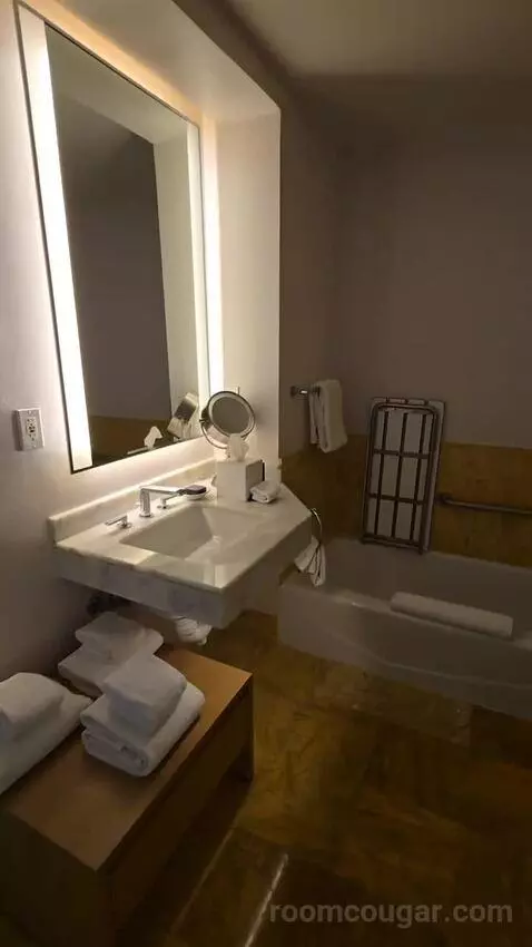Bay View King, Accessible (#1812) bathroom picture #1
