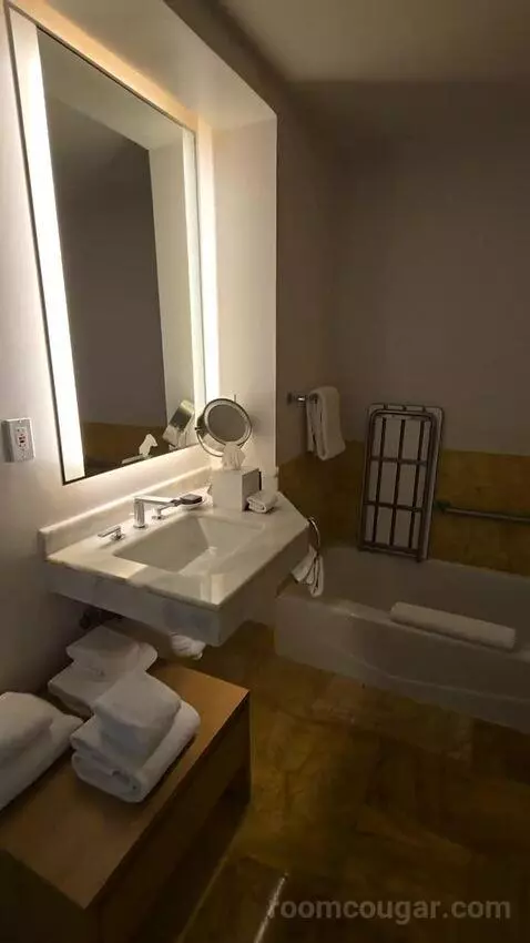 Bay View King, Accessible (#1812) bathroom picture #2