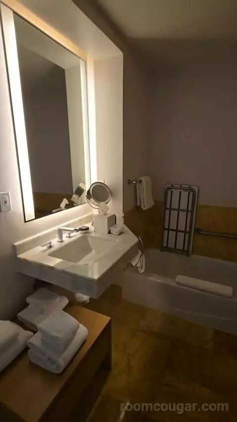 Bay View King, Accessible (#1812) bathroom picture #3