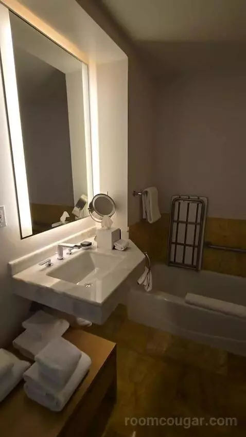 Bay View King, Accessible (#1812) bathroom picture #4