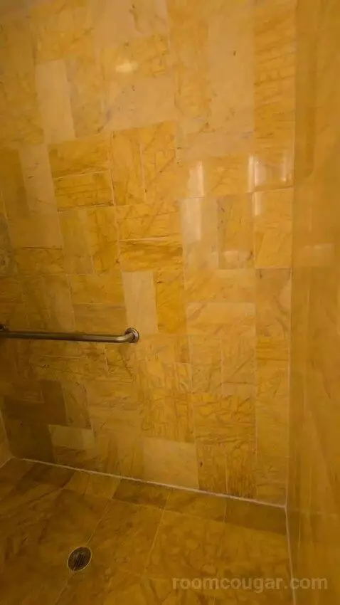 Bay View King, Accessible (#1812) bathroom picture #5