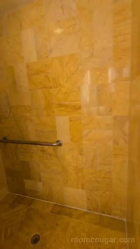 Bay View King, Accessible (#1812) bathroom picture #6