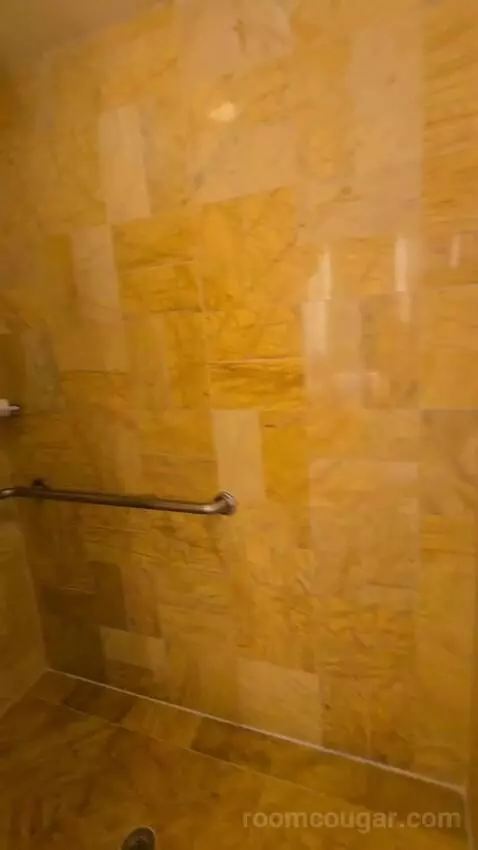 Bay View King, Accessible (#1812) bathroom picture #7