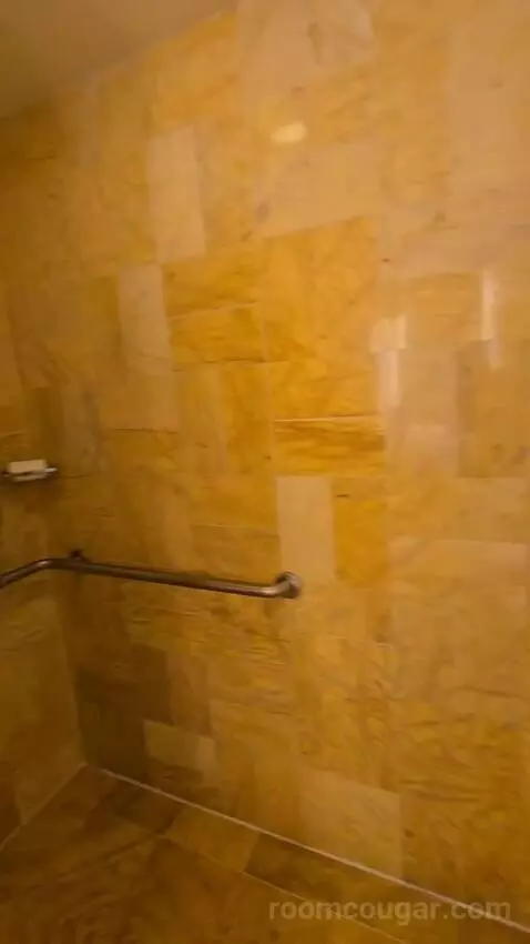 Bay View King, Accessible (#1812) bathroom picture #8