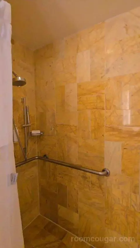 Bay View King, Accessible (#1812) bathroom picture #9