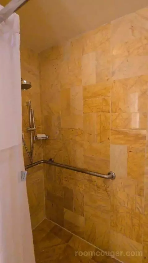 Bay View King, Accessible (#1812) bathroom picture #10