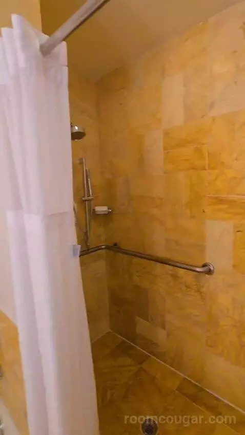 Bay View King, Accessible (#1812) bathroom picture #12