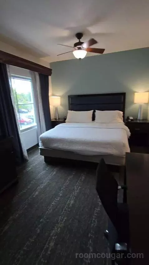 King Studio Suite (#203) bed picture #4