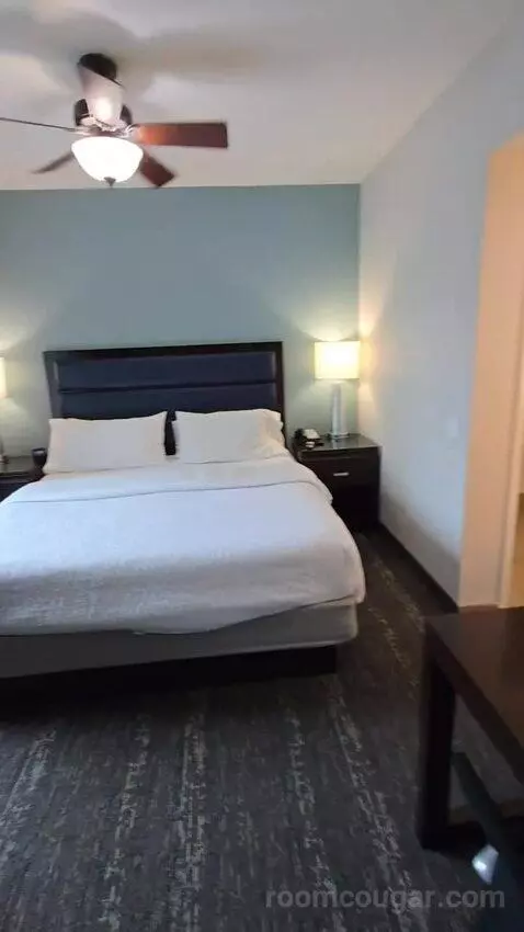 King Studio Suite (#203) bed picture #7