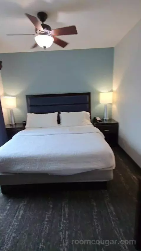 King Studio Suite (#203) bed picture #9