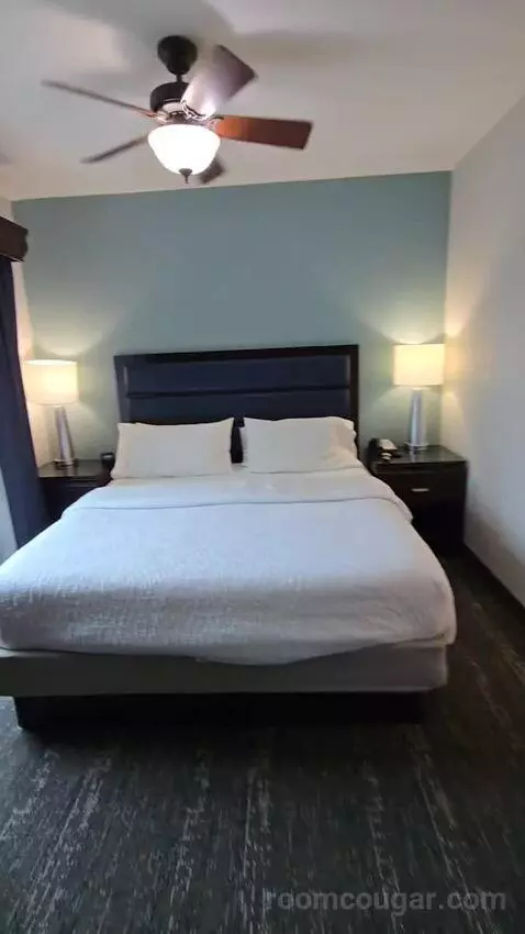 King Studio Suite (#203) bed picture #10