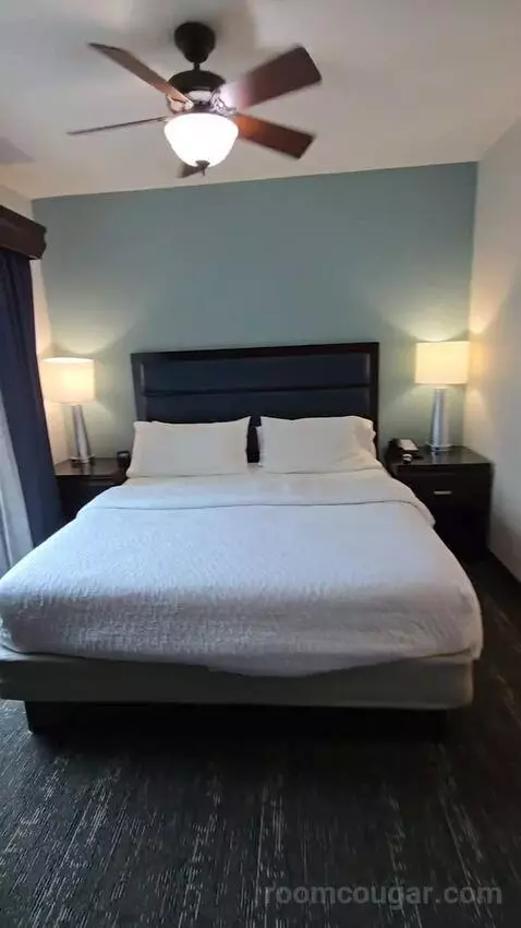 King Studio Suite (#203) bed picture #11