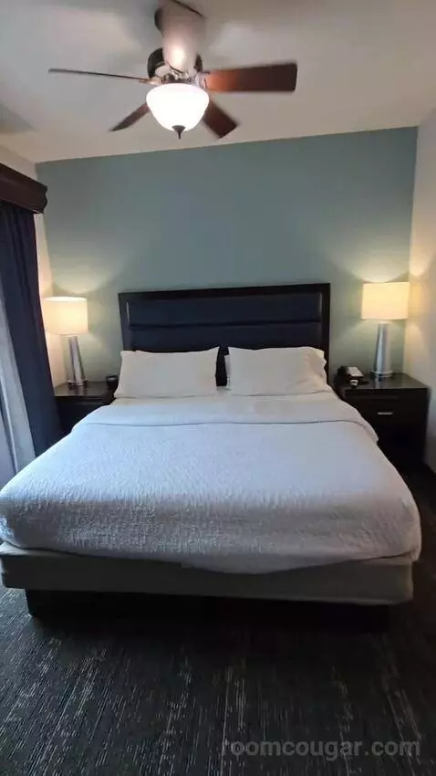 King Studio Suite (#203) bed picture #12
