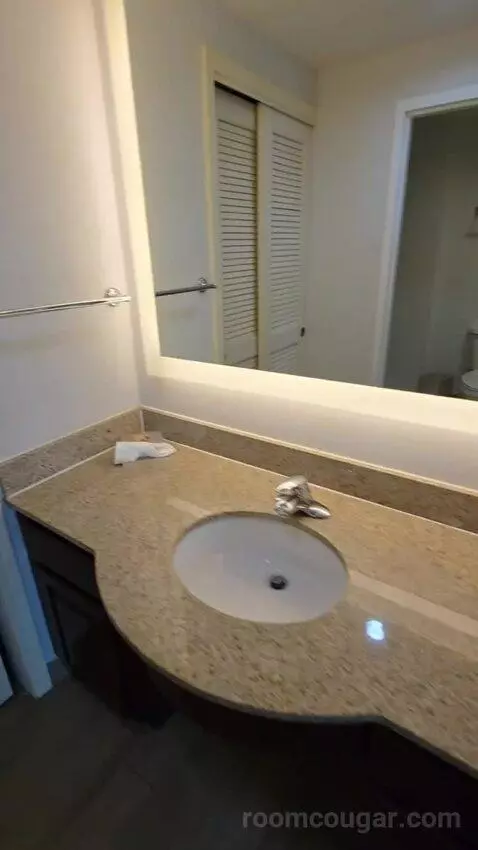 King Studio Suite (#203) bathroom picture #5