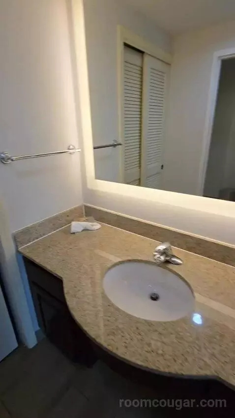 King Studio Suite (#203) bathroom picture #6