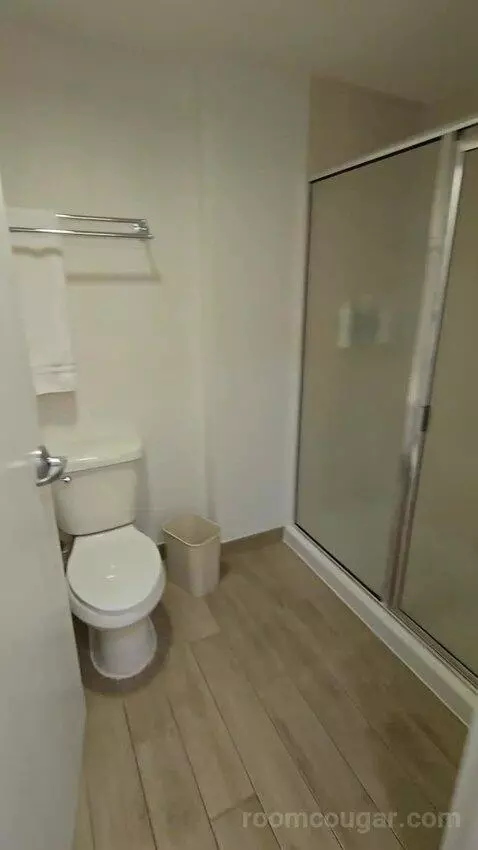 King Studio Suite (#203) bathroom picture #7