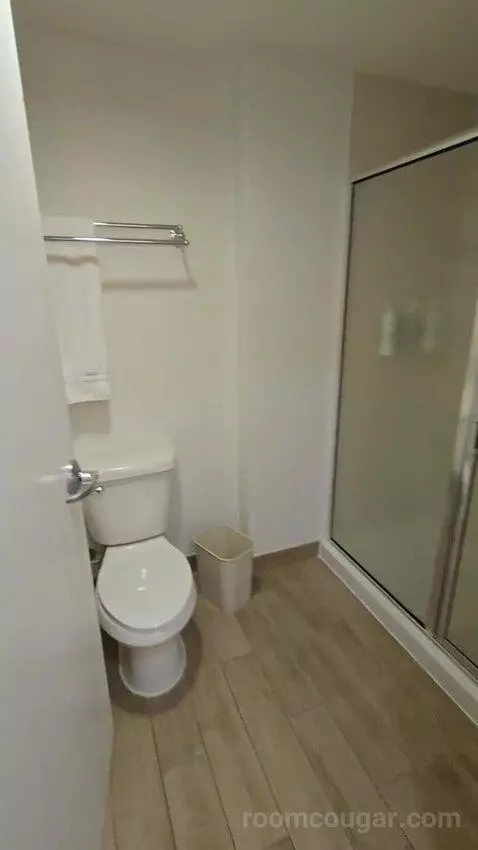 King Studio Suite (#203) bathroom picture #8