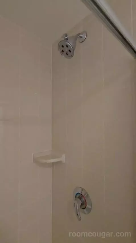 King Studio Suite (#203) bathroom picture #9