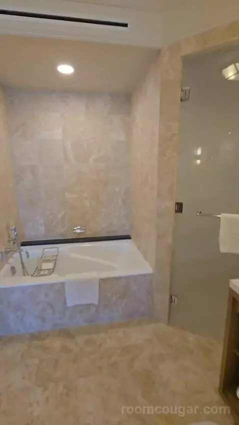 Presidential Suite with One King Bed (#2812) bathroom picture #9