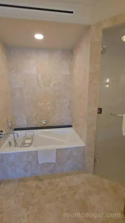 Presidential Suite with One King Bed (#2812) bathroom picture #10