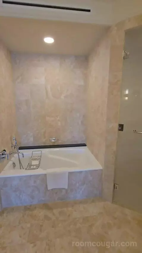 Presidential Suite with One King Bed (#2812) bathroom picture #11
