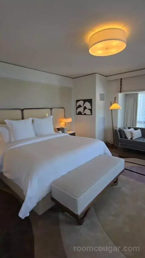 Presidential Suite with One King Bed (#2812) bed picture #6