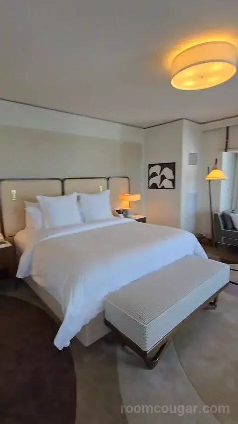 Presidential Suite with One King Bed (#2812) bed picture #7