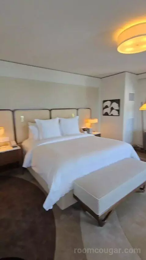 Presidential Suite with One King Bed (#2812) bed picture #8