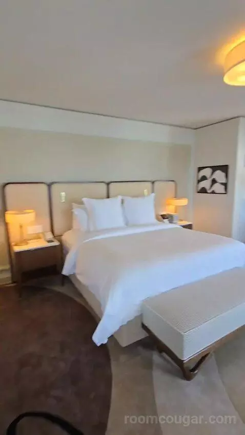 Presidential Suite with One King Bed (#2812) bed picture #9