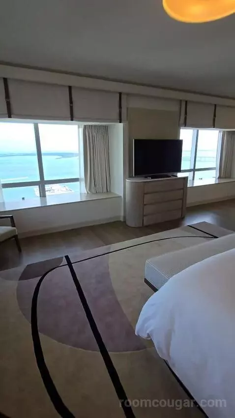 Presidential Suite with One King Bed (#2812) view picture #8