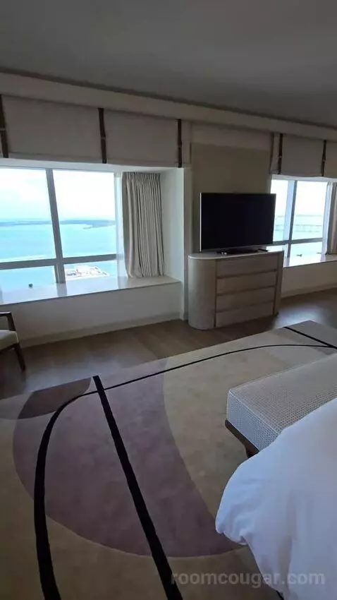 Presidential Suite with One King Bed (#2812) view picture #10