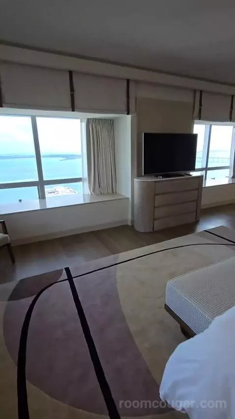 Presidential Suite with One King Bed (#2812) view picture #11