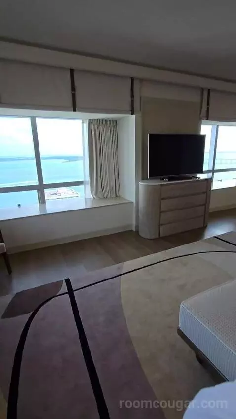Presidential Suite with One King Bed (#2812) view picture #12
