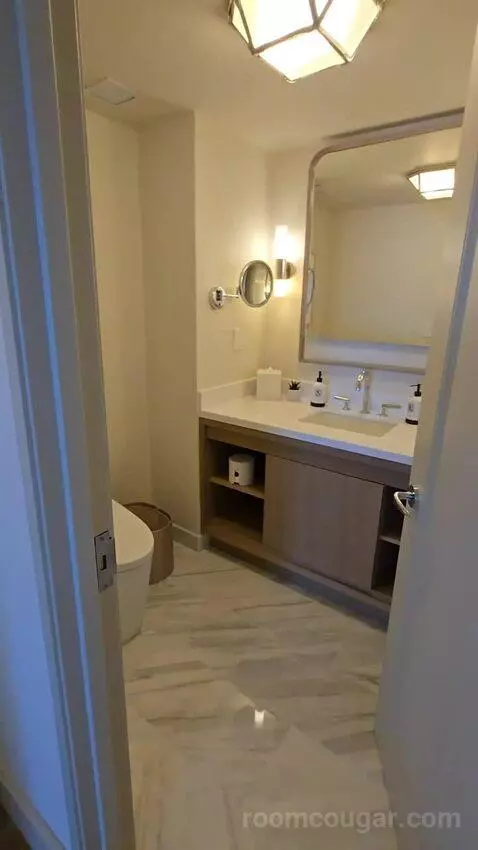 Presidential Suite with One King Bed (#2812) bathroom picture #1