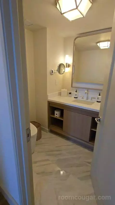 Presidential Suite with One King Bed (#2812) bathroom picture #2