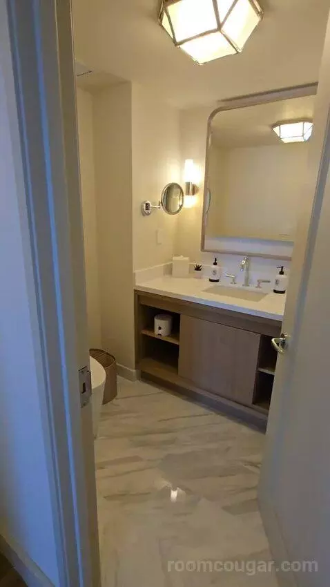 Presidential Suite with One King Bed (#2812) bathroom picture #3