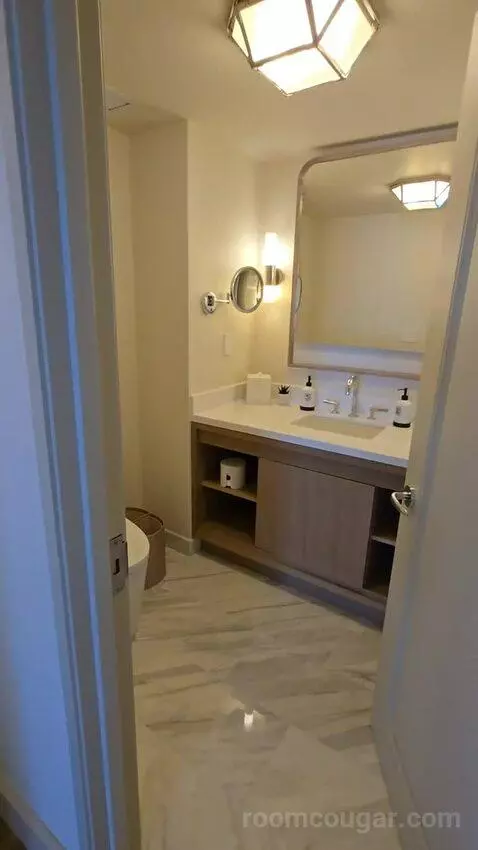 Presidential Suite with One King Bed (#2812) bathroom picture #4
