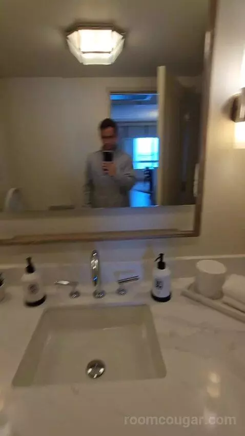 Presidential Suite with One King Bed (#2812) bathroom picture #5