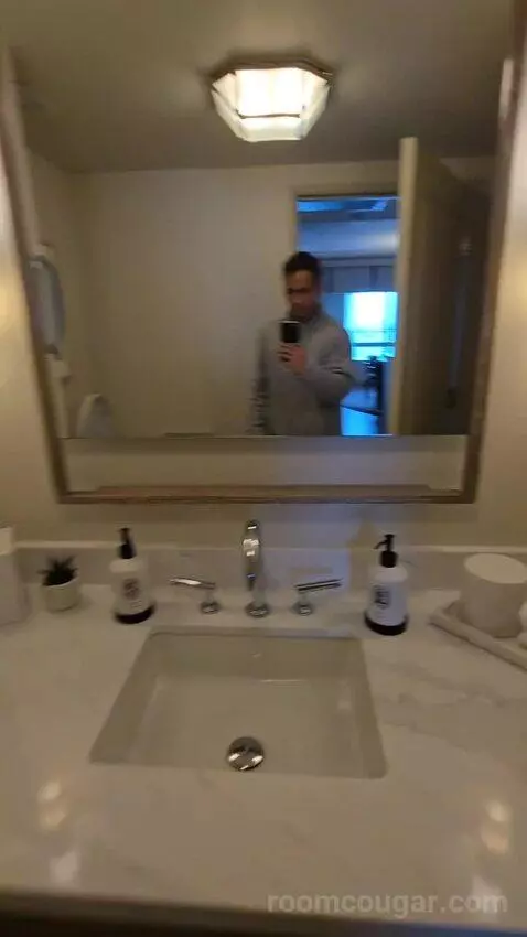 Presidential Suite with One King Bed (#2812) bathroom picture #6