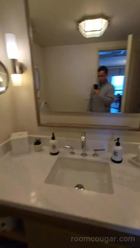 Presidential Suite with One King Bed (#2812) bathroom picture #7