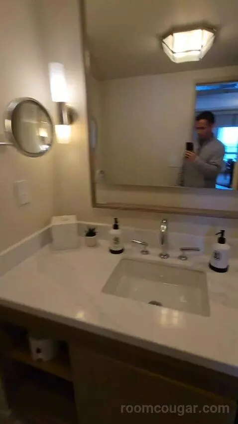 Presidential Suite with One King Bed (#2812) bathroom picture #8