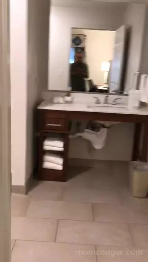 One Bedroom King Suite (#140) bathroom picture #2