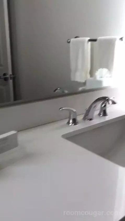 One Bedroom King Suite (#140) bathroom picture #9
