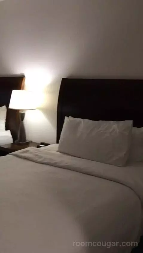 Double Room with Two Double Beds (#114) bed picture #1